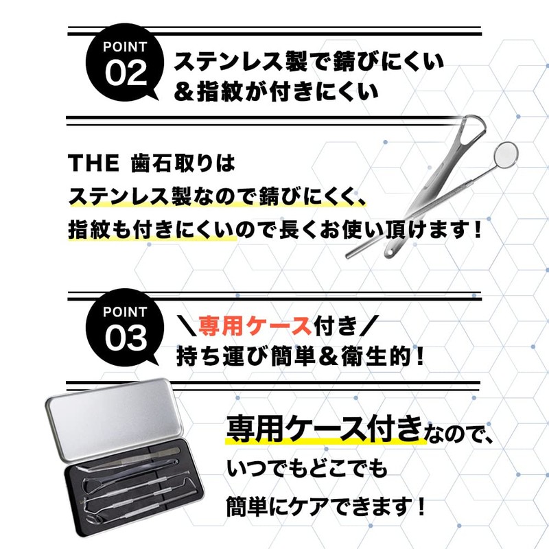 SW歯石取りツール