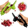 Cherry and Olive Pitter Tool, 2 Pcs Fruit Stone Remover,
