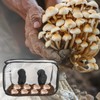 Luqixcey Mushroom Growing Still Air Box，35.8''×23.2''×22.8'', Portable Mushroom Grow Bags,