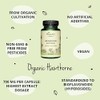Hawthorn Berry Vegavero® | 700 mg Extract | 100% Organic
