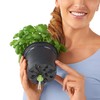 Lechuza Cube Colour 14 13384 Herb Pot, High-Quality Plastic, Includes