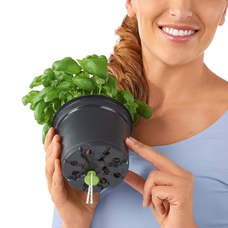 Lechuza Cube Colour 14 13384 Herb Pot, High-Quality Plastic, Includes