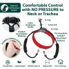 Sporn Original Training Halter, Small Dog Harness No Pull wi