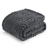 Bedsure Grey Throw Blanket for Couch - Super Soft Cozy