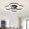 FTZVRD Ceiling Fans with Lights and Remote, Flush Mount Ceiling