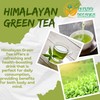 Himalayan Green Tea Organic, 25 Count, Non GMO, Gluten Free,