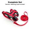 Plutus Pet Adjustable Cat Harness and Leash Set, Quick Release,