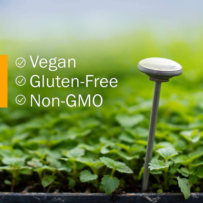 Herb Pharm Sangre de Drago - for External Use Only