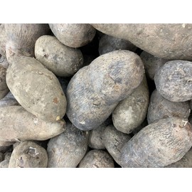 Unbranded Name Blanco (6 LBS) White Yam
