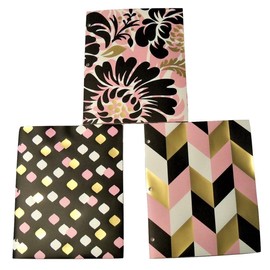 Studio C Carolina Pad Set of 3 Deluxe Poly Folders ~ Put it in Neutral (Floral Delight, Marquise Polka Dots, Chevron Fun)