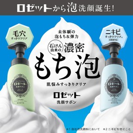 Rosette Facial Cleansing Sabon, Smooth Wash, 6.1 fl oz (180 ml), Foam Cleanser, Pores