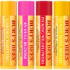 Burt's Bees Lip Balm Gift Set, Beeswax, Strawberry, Tropical Pineapple,