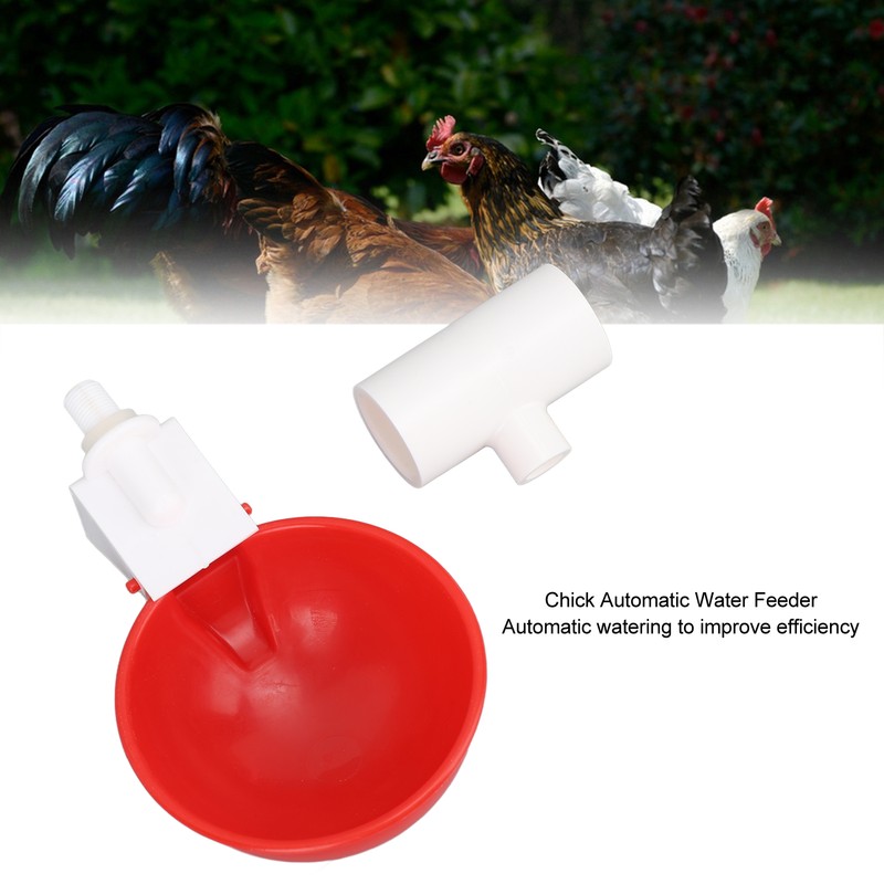 12 Sets Chicken Watering Cup with Tee Connector Automatic Feeding