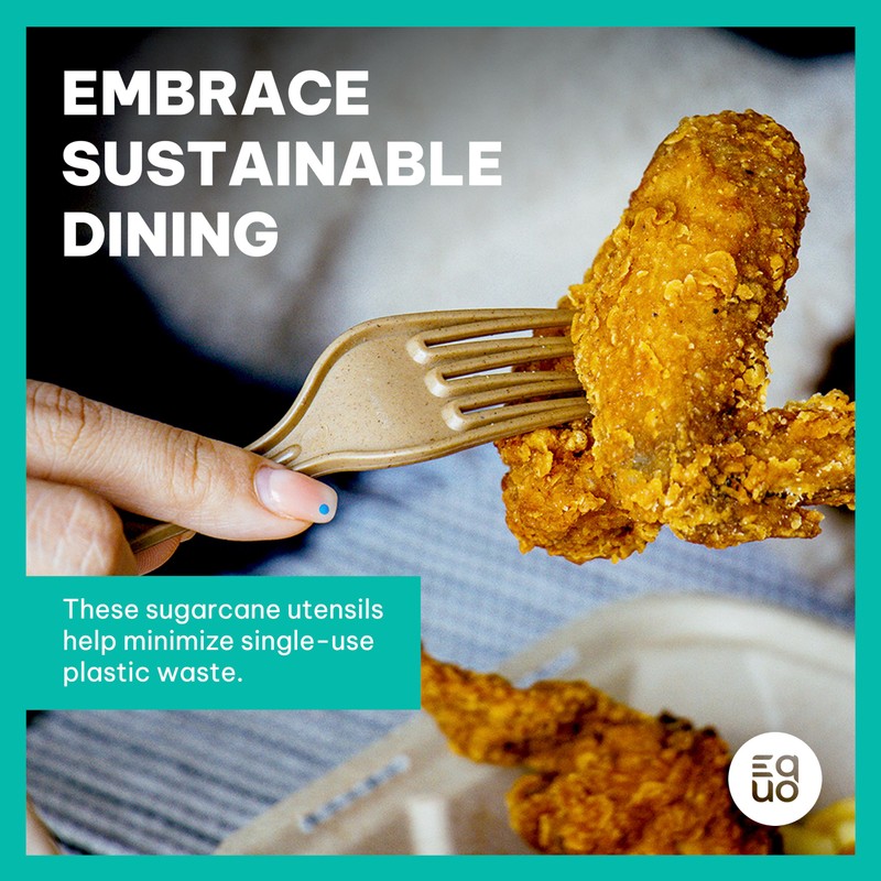 EQUO Sugarcane Utensils, Biodegradable and Compostable Spoons, Pack of 15