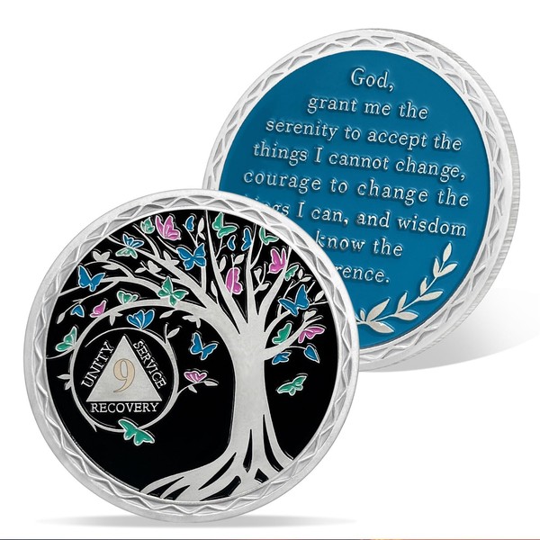 AtSKnSK 9 Months Sobriety Coin 1-12 Months 24 Hours Sobriety