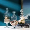MyGift Clear Glass Apothecary Jars with Lid, Decorative Seashell Design