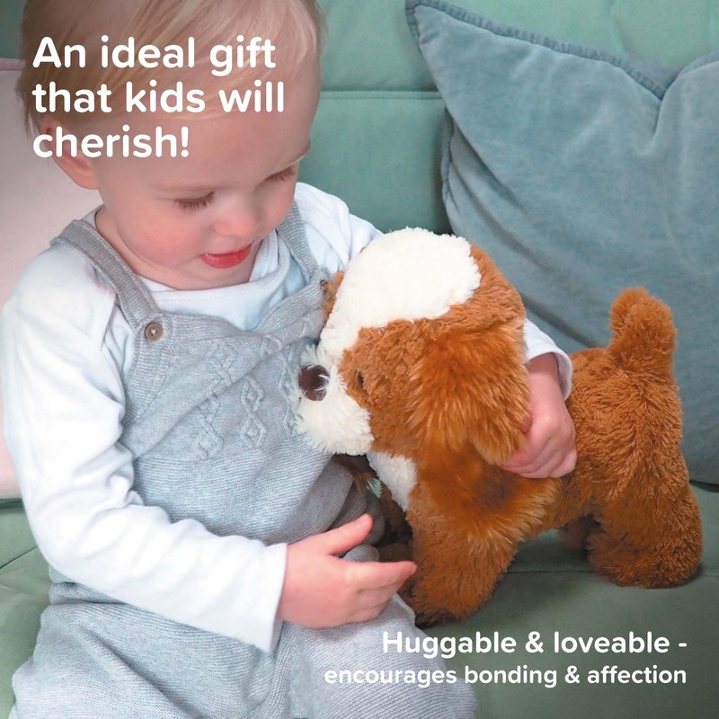 Little Bird Told Me - Pull Along Toy with Removable