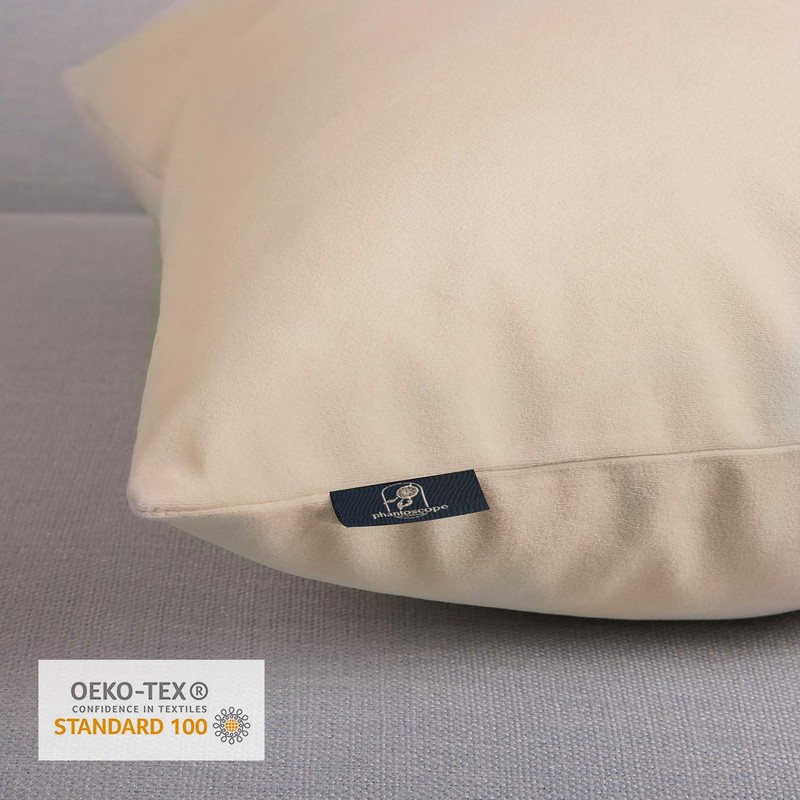 Phantoscope Pack of 2 Velvet Decorative Throw Pillow Covers Soft