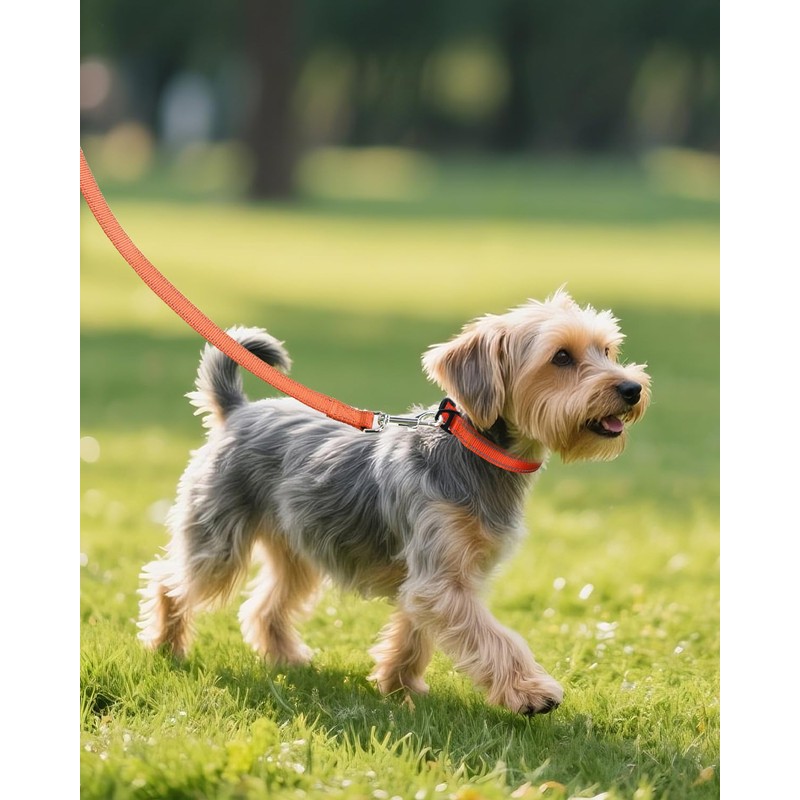 Joytale Small Dog Collar, Durable Double-Sided Reflective Nylon Collar for