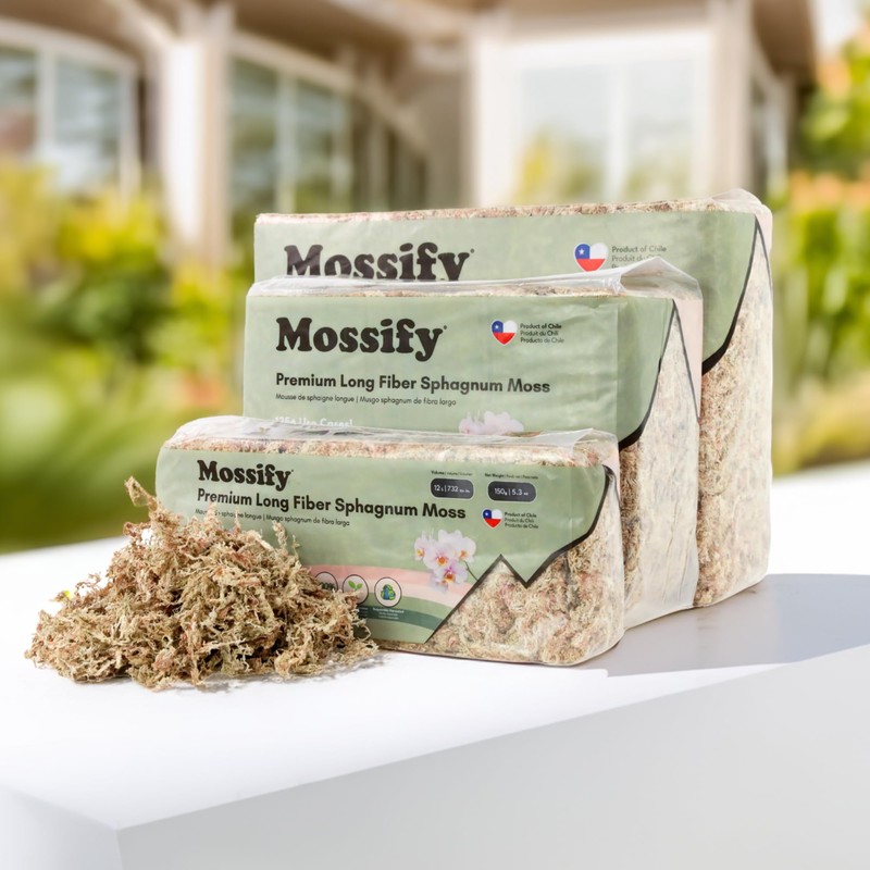 Mossify Premium Sphagnum Moss for Plants 150g, 5.3 Oz -