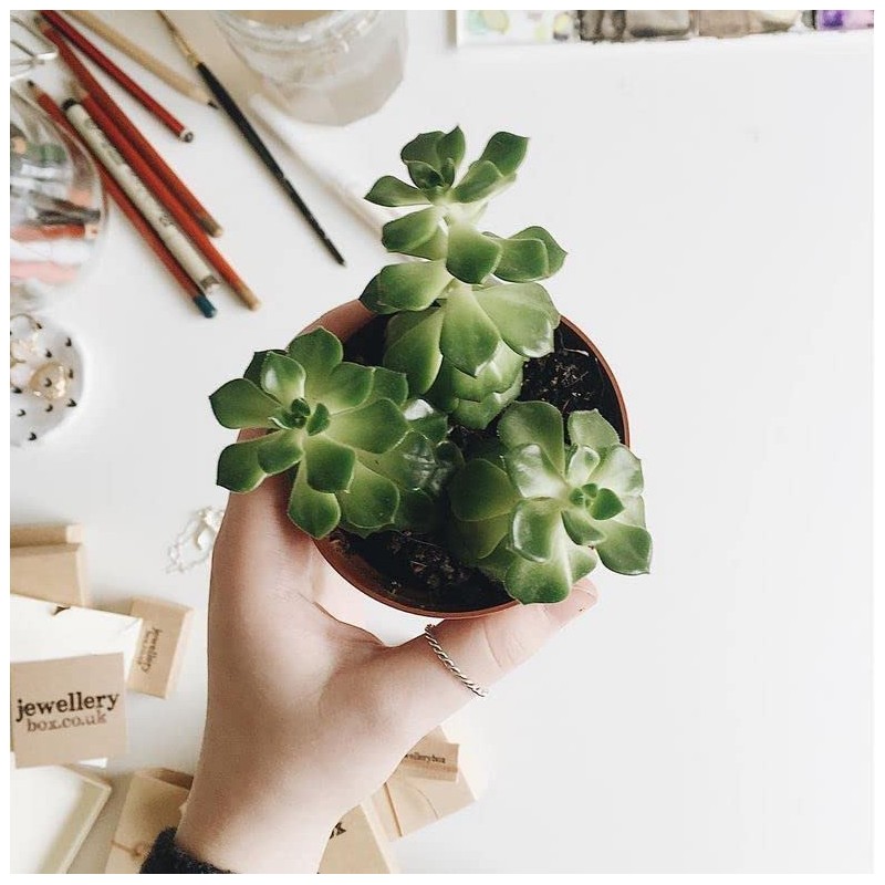 Sterling Silver 2mm Stacking Twisted Rope Ring Size U (I