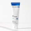 Wellage [Hwajal Ink Cream] Wellage Real Hyaluronic 100 Cream 50ml