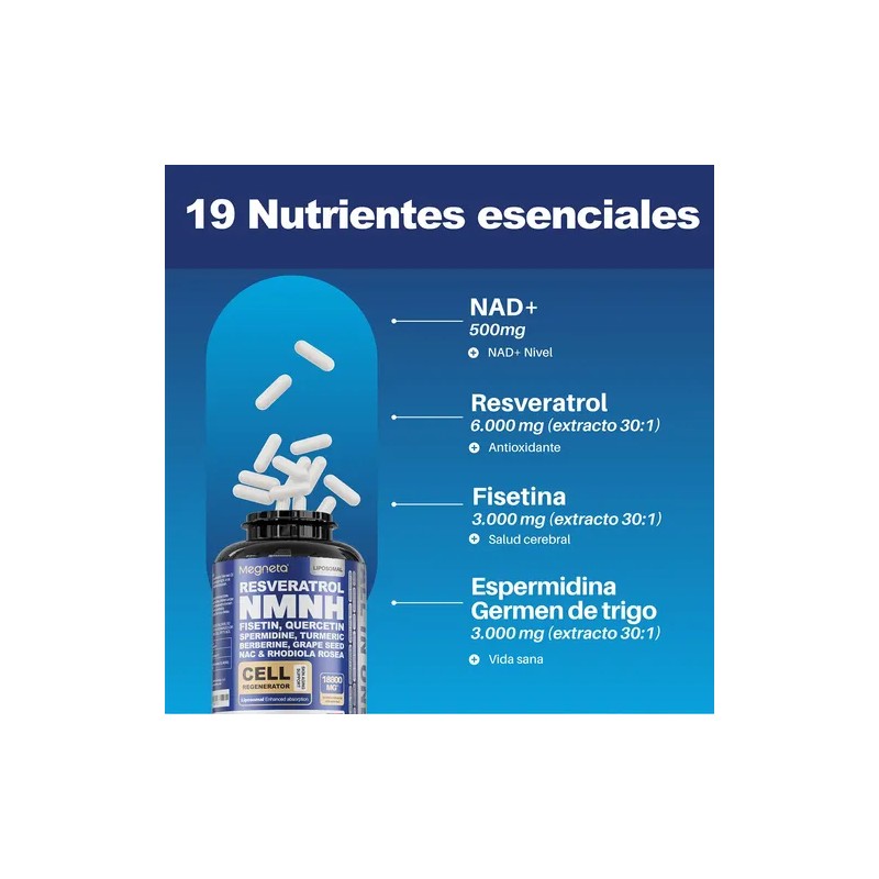 Megneta Nad Resveratrol Antiedad