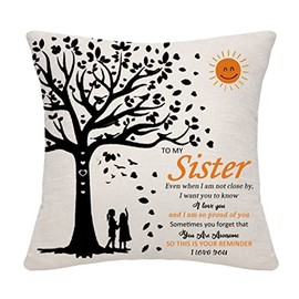Bommex Sister Gifts from Sister Cushion Cover Throw Pillow Cover for Sister from Sister Birthday Gifts (sister-from sister)