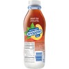 Snapple Zero Sugar Peach Tea, 16 fl oz recycled plastic