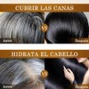 Shampoo Cubre Canas Tinte Instantáneo 3 en 1 Brillo Suavidad