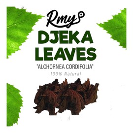 Natural Djeka Leaves - Traditional Herbs for Health and Well-Being 70 g - 100% Natural Alchornea Cordifolia - Djeka Leaves