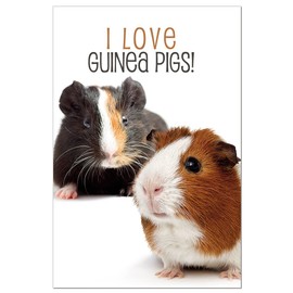 Tree-Free Greetings ECOnotes Blank Note Cards, Matching Envelopes, Blank Stationary Card Set, 4" x 6", I Love Guinea Pigs, Pack of 12 (FS56347)