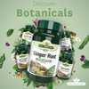 Natures Aid Ginger Root 500 mg 90 Tablets (Botanical Supplement,