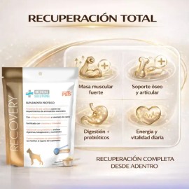 Duo de polvos fijadores para rostro y contorno de ojos Insta-Ready: Bubblegum 2 en 1, control de aceite iluminador rosado