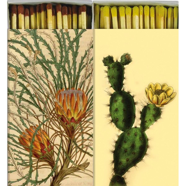 Decorative Protea and Cacti Match Boxes with Long Kitchen Matches Great for Lighting Candles, Grills, Fireplaces and More | Set of 2 Large Match Boxes