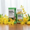 Mongul Cloud Partners Evening primrose oil gamma linolenic acid efficacy