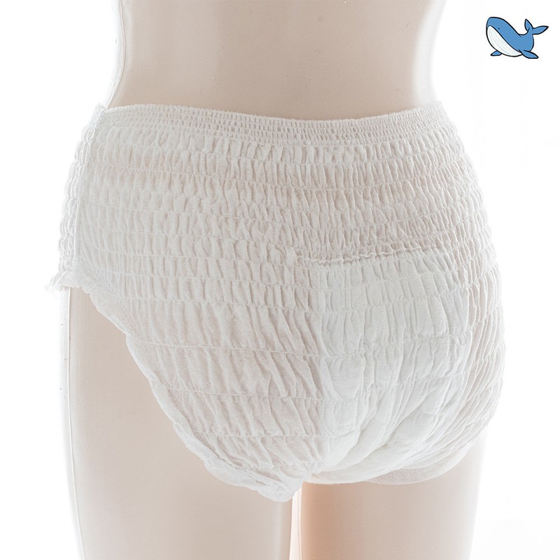Dancing Whale Large Capacity Wearable Overnight Panty Type Collection (14/28/42