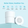 AQUA CREST Shower Filter Replacement for JOLIE® FILTERED SHOWERHEAD, Steady