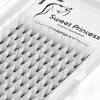 120Pcs Thickness 0.07mm C Curl,Premade 10D Fans Volume Eye Lashes