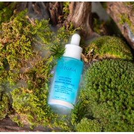 Shegaia Hyaluronic Water Shine Procedure Moisture Ampoule / 쉬가이아 히알루로닉 워터샤인 프로시져 수분앰플
