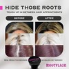 Rootflage Temporary Root Touch Up Refill (TITANIUM)