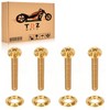 TDZ Gold Titanium Windshield Bolts, Windscreen Screws, Fairing Bolts for