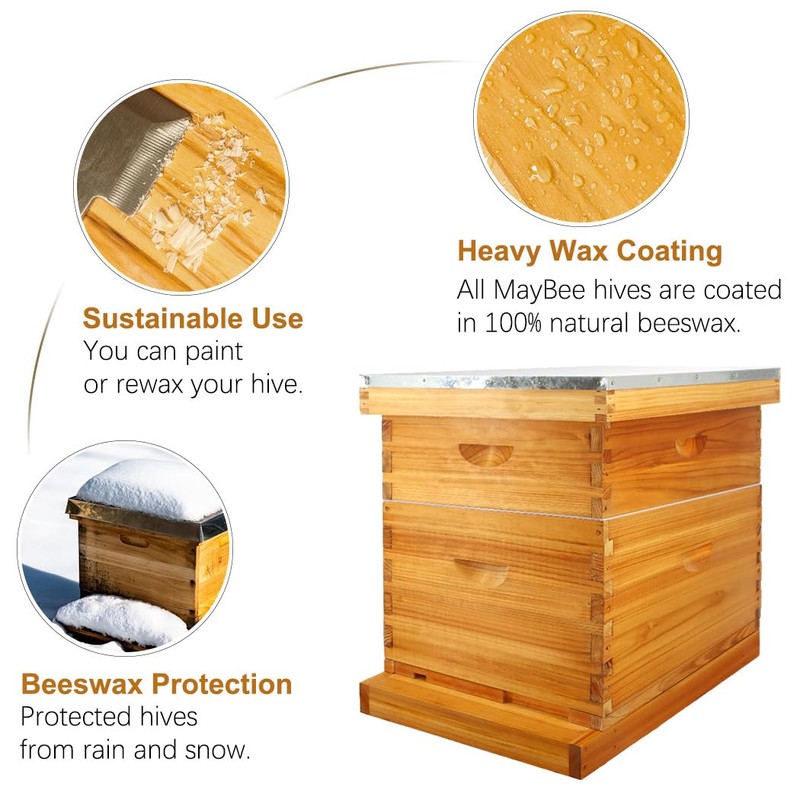 MayBee 10 Frame Screened Bottom Board Beehive Dipped in 100%