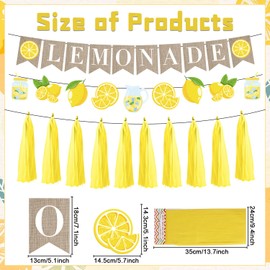 Lovarywow Lemonade Stand Party Decorations - 3PCS Lemonade Stand Supplies for Kids Lemonade Banner Garland for Summer Lemonade Sign Tassels Lemon Themed Bridal Shower Birthday Party Supplies Decor