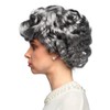 Boland 85721 Adult Wig Elizabeth, Grey, One Size