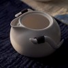 Yilong Teapot 6.1 fl oz (180 ml) for Chinese Tea