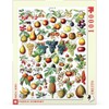 New York Puzzle Company - Vintage Images Fruits - 1000