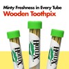 HotLix Mint Toothpicks (20 Pack, 400 Total), Mint Flavored Toothpicks,