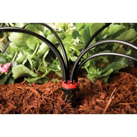 Rain Bird MANIF21PK Irrigation 6 Manifold, 2 Gallon Hour Flow Rate Per Port, 1/2" NPT x 1/4" Drip, Red/Black