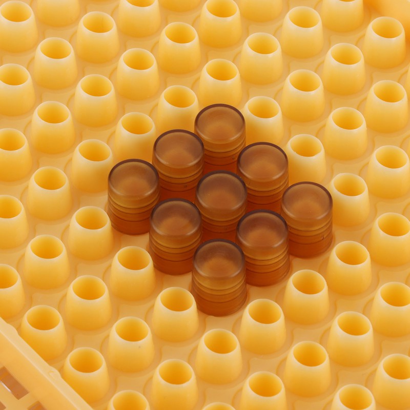 Queen Bee Rearing Box Cage Plastic Breeding Cell Cup Kit